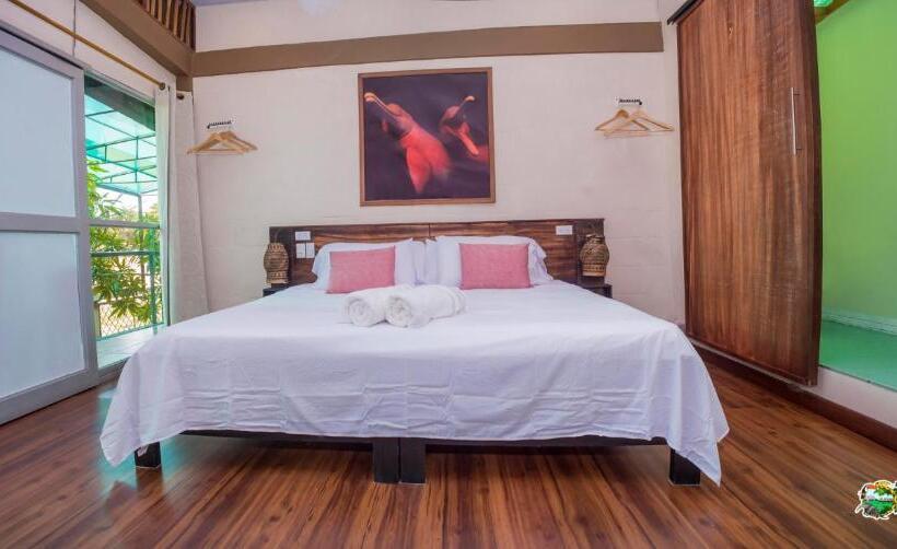 스탠다드 룸, Amazonas Explorers Leticia