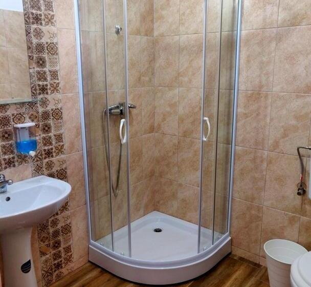 标准间, Pensiunea Alesia