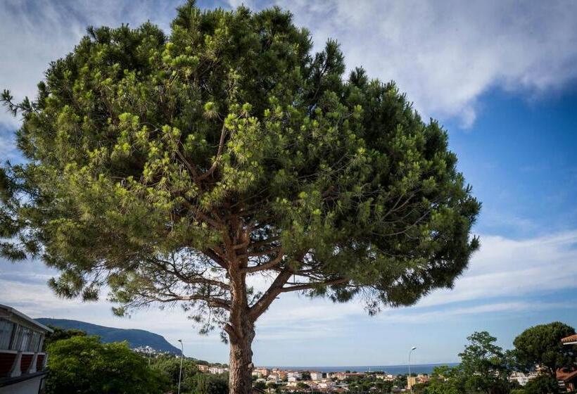 جناح مزوَّد بشرفة, Balconi Del Conero