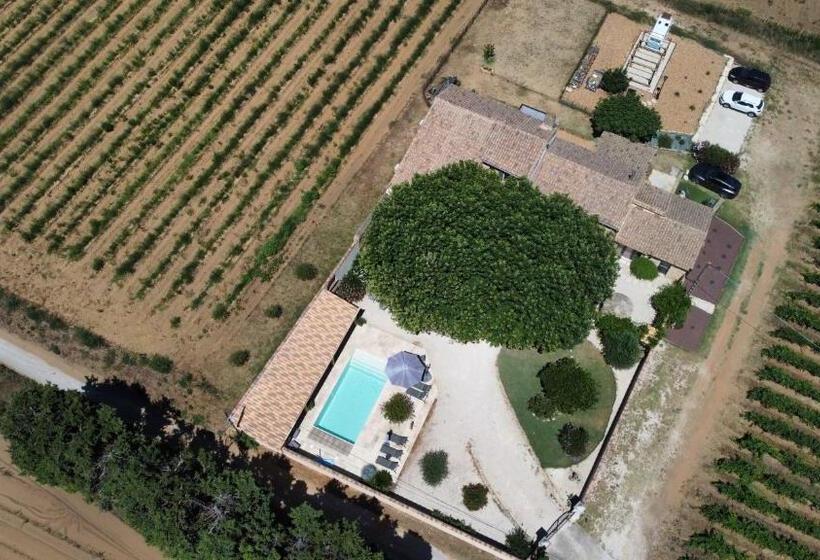 ガーデンビューファミリールーム, Le Mas Andoli