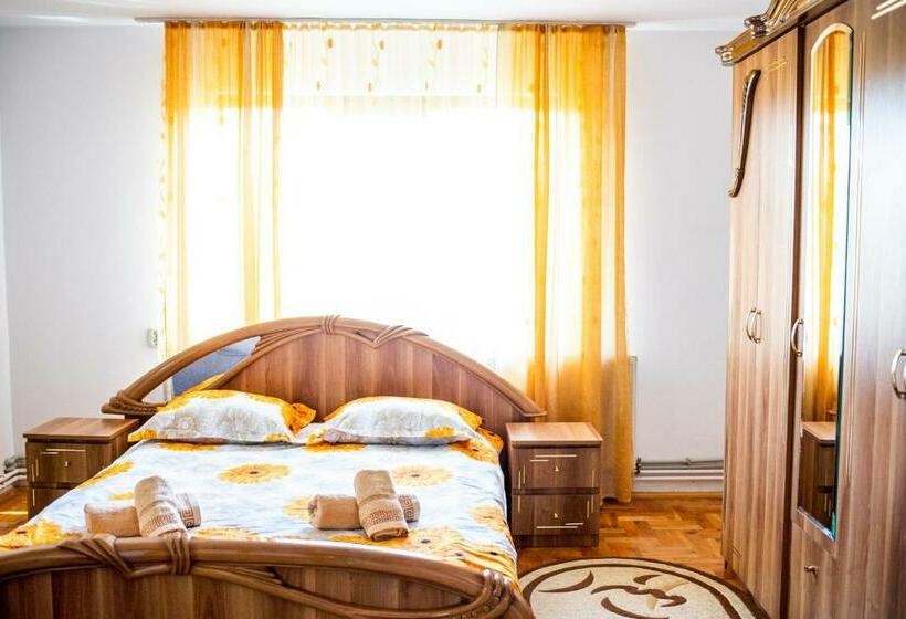 חדר סטנדרט, Pensiunea Casa Ancuta