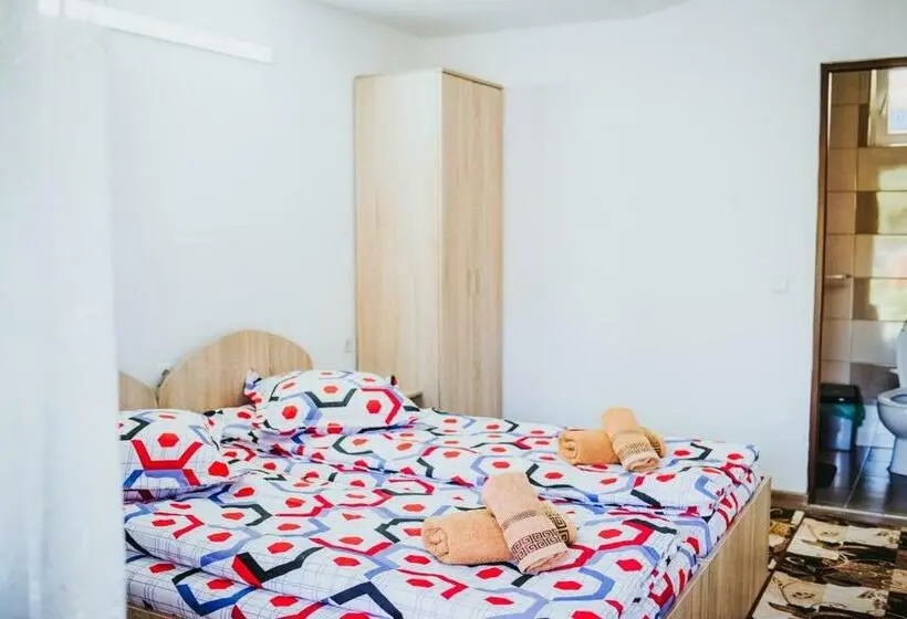 テラス付きスタンダードルーム, Pensiunea Casa Ancuta