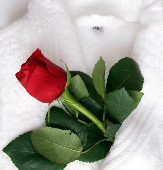 اتاق پرستیژ, Mercure Lisboa Almada