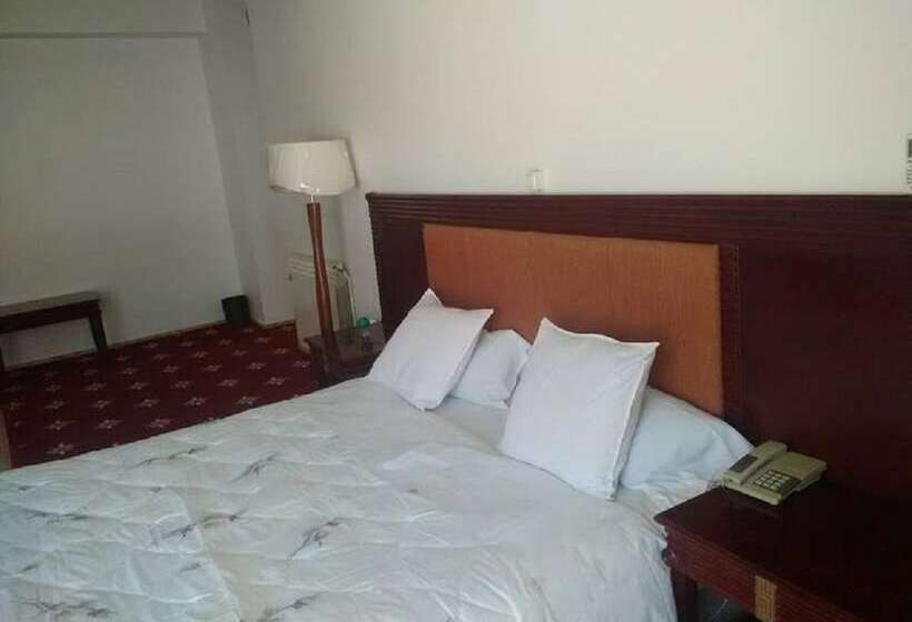 اتاق استاندارد یک نفره, Mimosa Palace Annaba