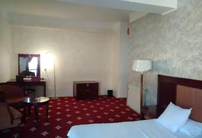 اتاق استاندارد یک نفره, Mimosa Palace Annaba