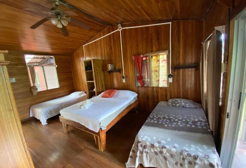 غرفة قياسية مزوَّدة بتراس, Birds & Breakfast Costa Rica