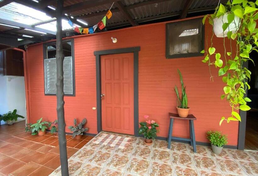 غرفة قياسية مزوَّدة بتراس, Birds & Breakfast Costa Rica