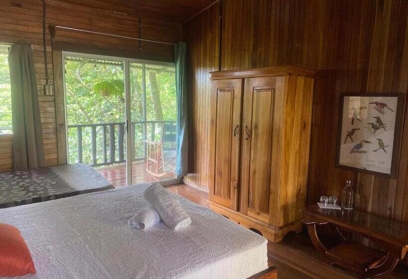 غرفة قياسية مزوَّدة بتراس, Birds & Breakfast Costa Rica