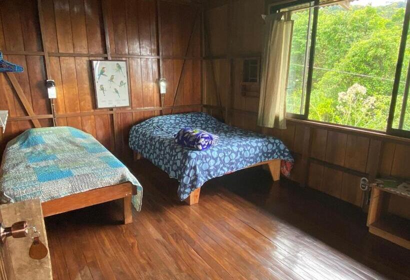 غرفة قياسية مزوَّدة بشُرفة, Birds & Breakfast Costa Rica