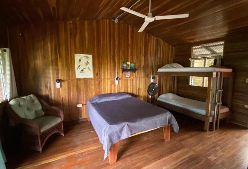 غرفة قياسية رباعية, Birds & Breakfast Costa Rica