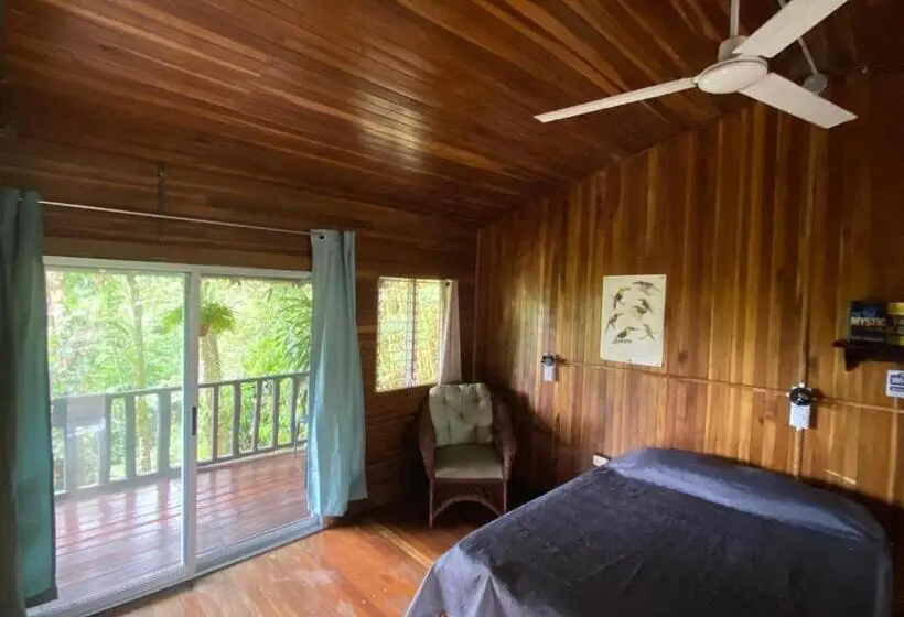 スタンダード４人部屋, Birds & Breakfast Costa Rica