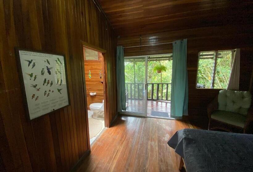 4인용 스탠다드 룸, Birds & Breakfast Costa Rica