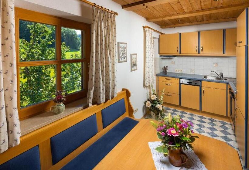 带1个卧室带花园景观的公寓, Ferienwohnungen Freidinglehen