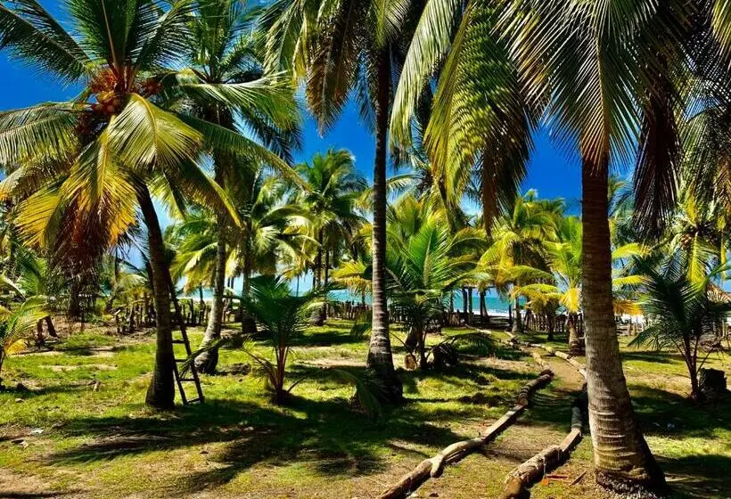 デラックススタジオ, Playa Jaguar   Beach Club