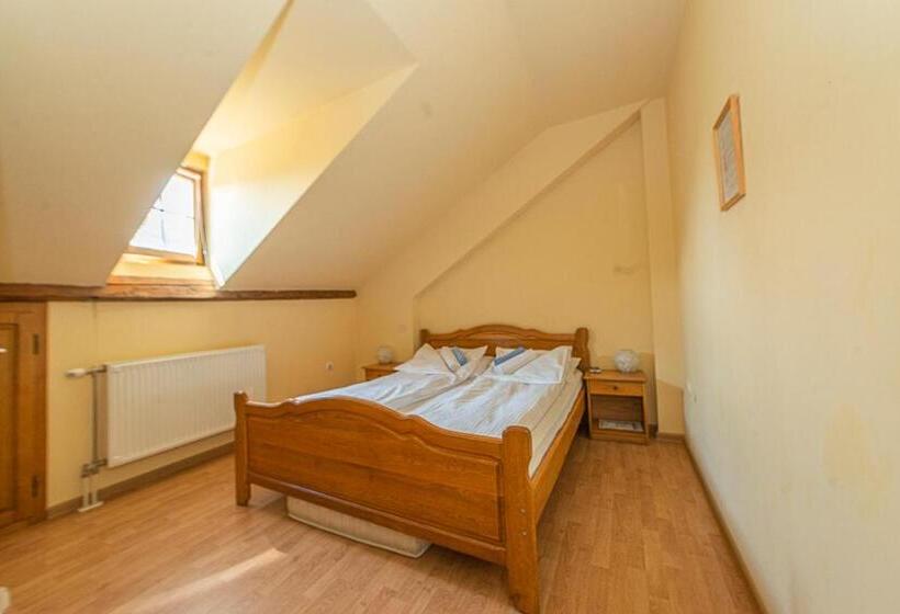 اتاق استاندارد, Pensiunea Zidul Cetății