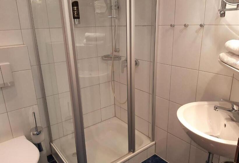 غرفة قياسية فردية, Schellenberger Hof