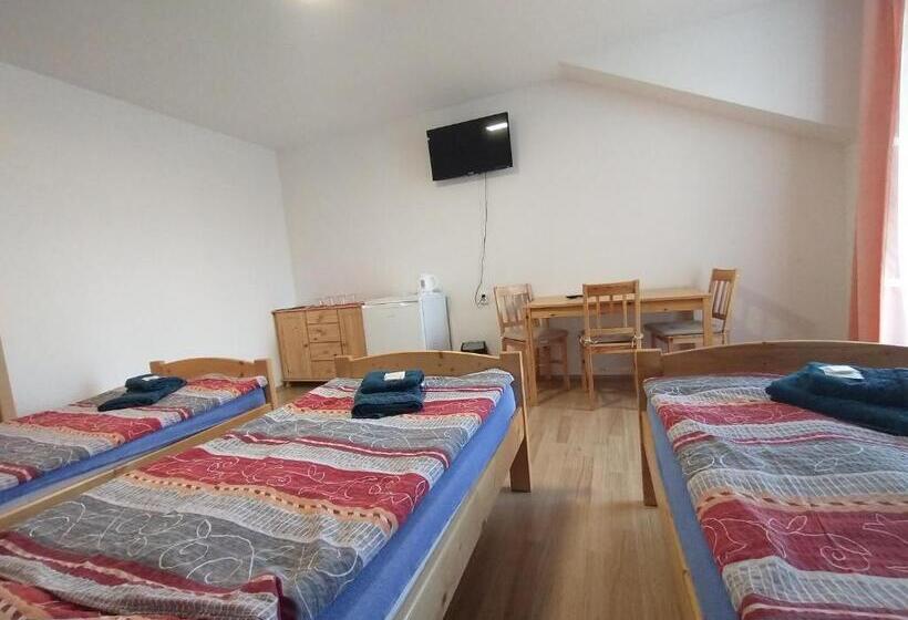 غرفة قياسية ثلاثية مزودة بتراس, Penzion Lihovar