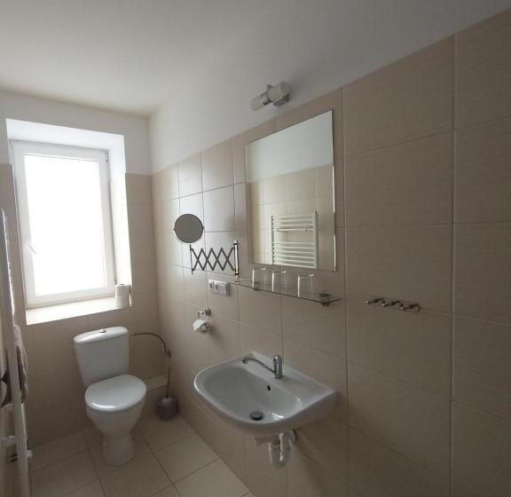 غرفة قياسية ثلاثية, Penzion Lihovar