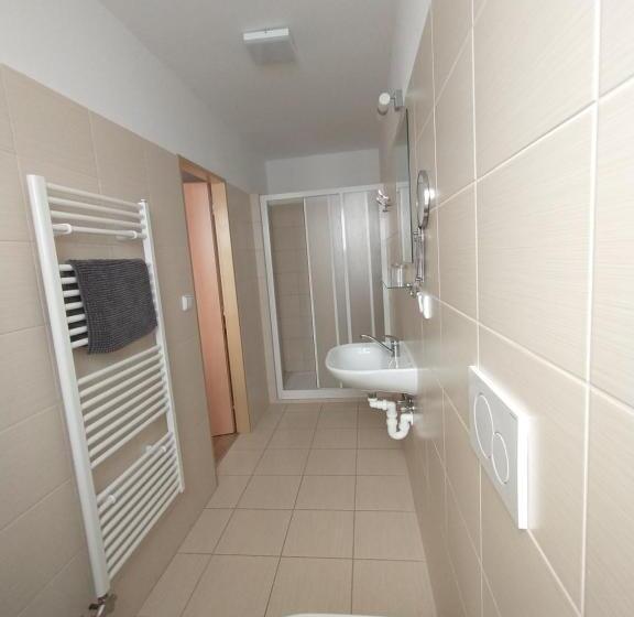 غرفة قياسية ثلاثية, Penzion Lihovar