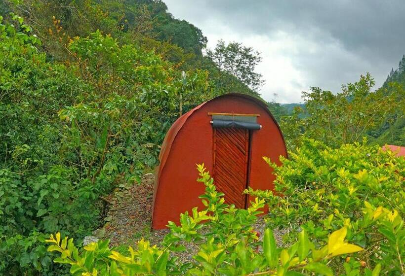 חדר סטנדרט, Termales El Escondite