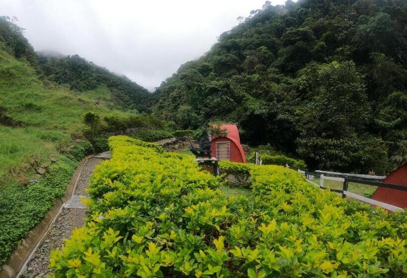 חדר סטנדרט, Termales El Escondite