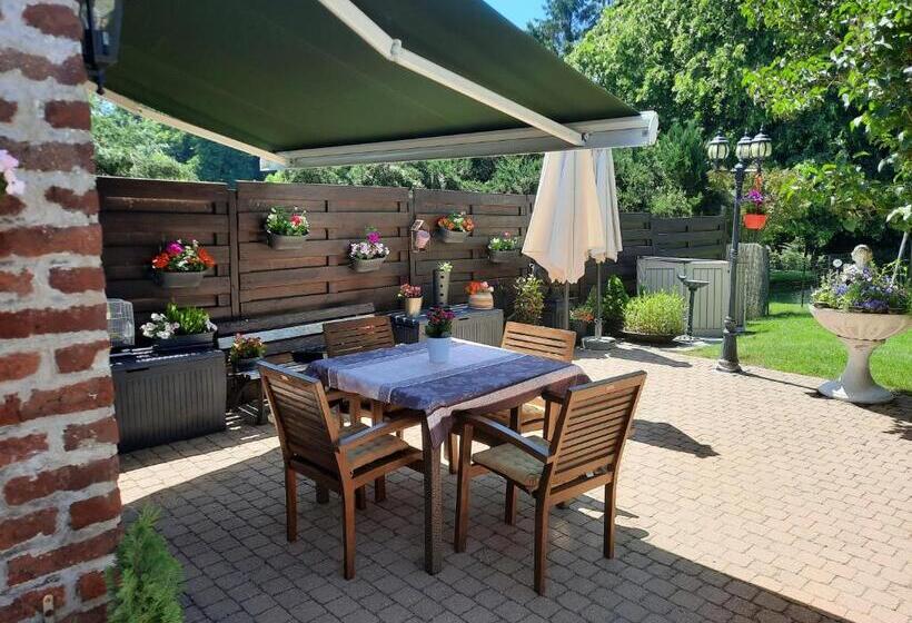 جناح, Au Trou Perdu