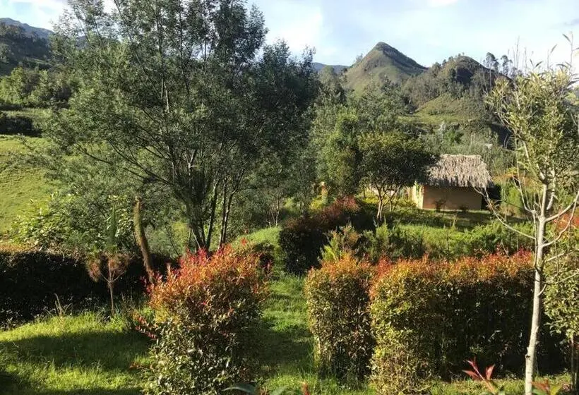デラックスバンガロー, Campestre Mirador Calopala