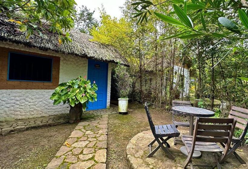 Бунгало Deluxe, Campestre Mirador Calopala