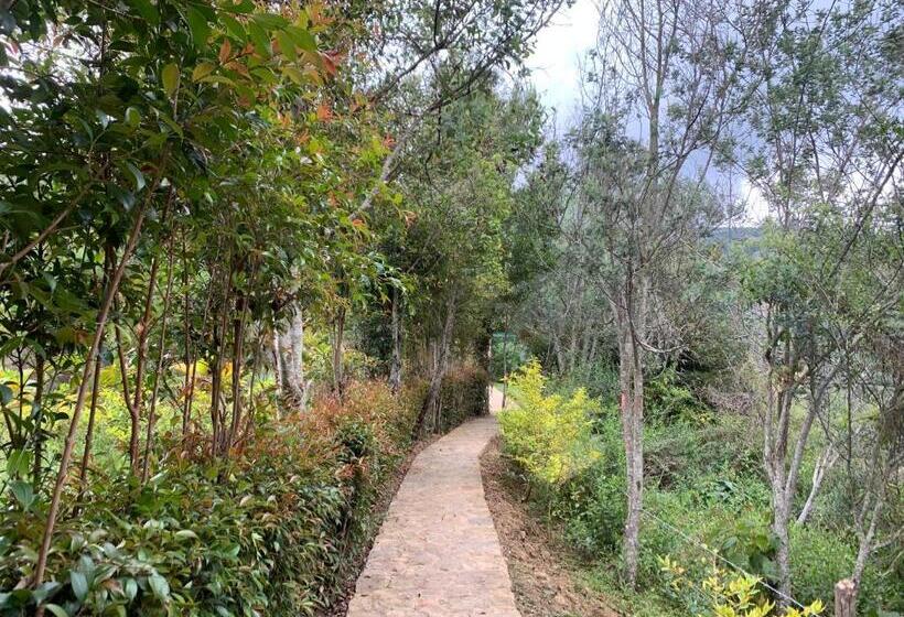 بنجلو قياسى مطلّ علي الحديقة, Campestre Mirador Calopala