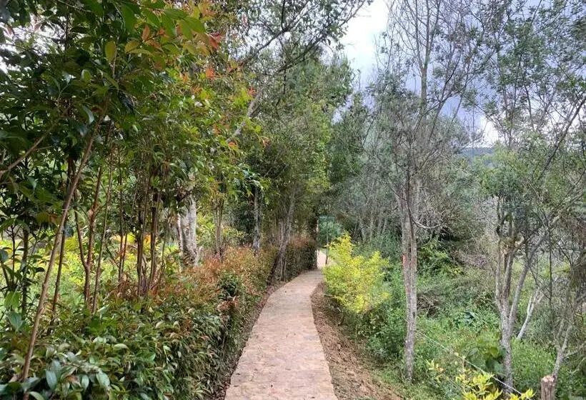 ガーデンビューのスタンダードバンガロー, Campestre Mirador Calopala