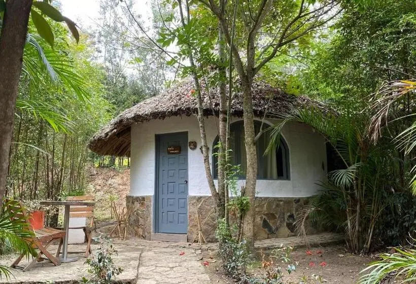 キングサイズベッドのスタンダードルーム, Campestre Mirador Calopala