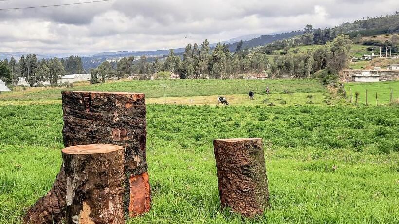 اتاق استاندارد, Cuscungo Cotopaxi Hostel & Lodge