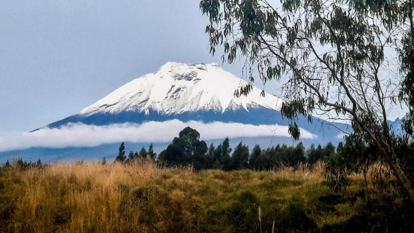 اتاق استاندارد, Cuscungo Cotopaxi Hostel & Lodge