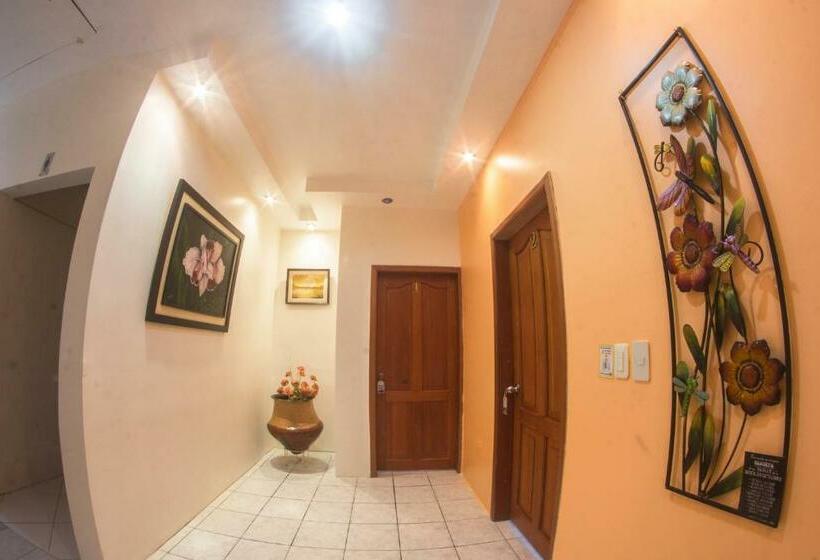 اتاق لوکس, Hosteria Shell