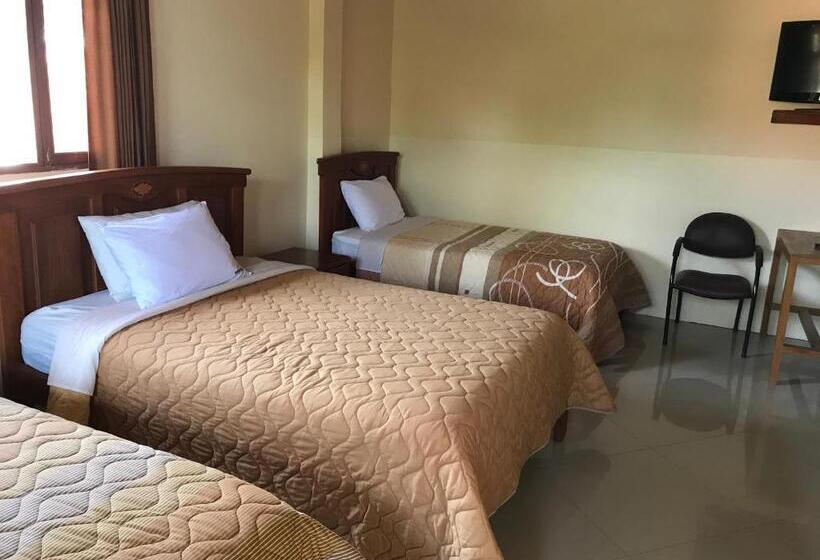 اتاق خانوادگی با چشم‌انداز باغ, Hosteria Shell