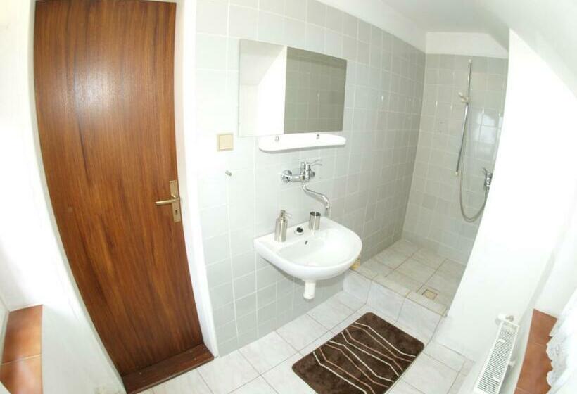 Номер Стандарт Индивидуальный, Penzion V Horách