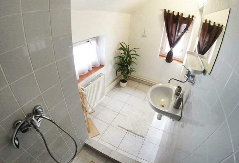 Номер Стандарт Индивидуальный, Penzion V Horách