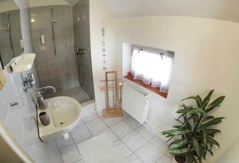 Номер Стандарт Индивидуальный, Penzion V Horách