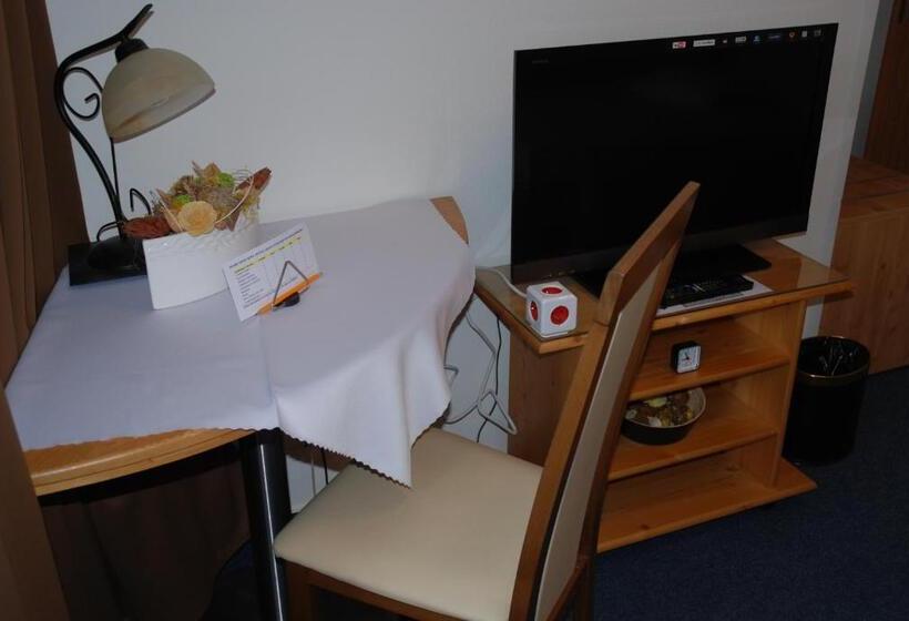 غرفة قياسية فردية, U Růže