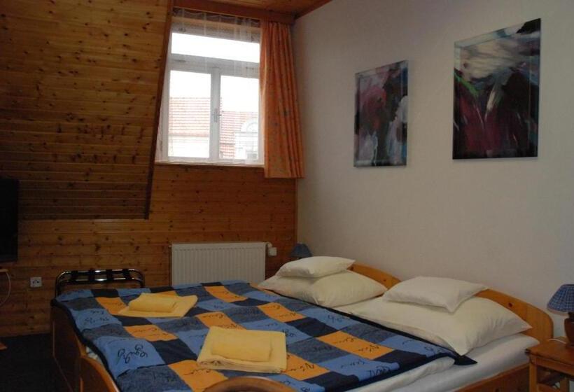 غرفة قياسية, U Růže