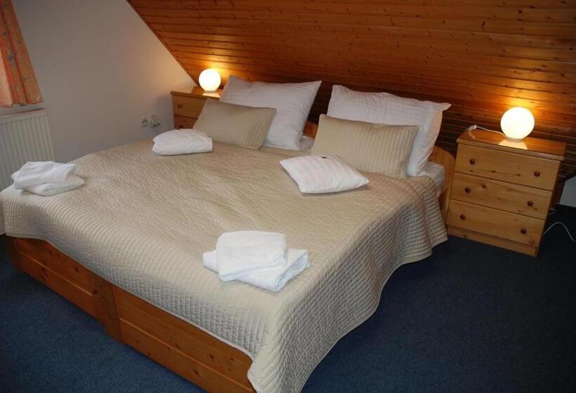 غرفة قياسية, U Růže