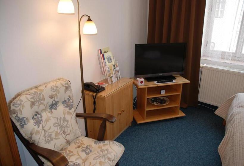 غرفة قياسية, U Růže