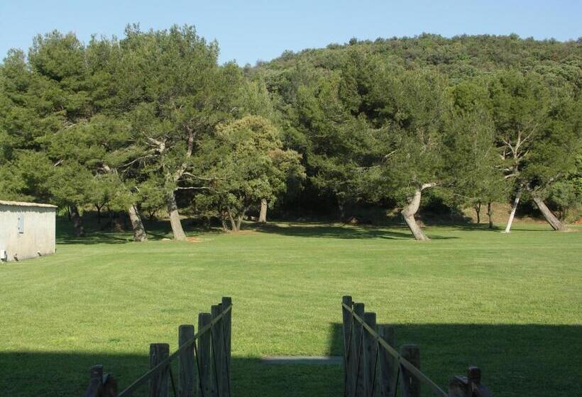 コンフォートワンルーム, Domaine Saint Martin