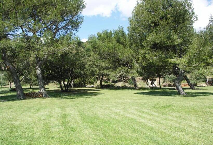 סטודיו נוח, Domaine Saint Martin