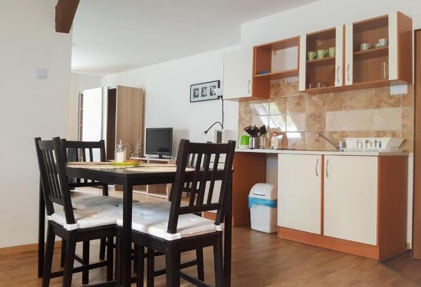 شقة غرفة واحدة, Penzion Zelený Háj