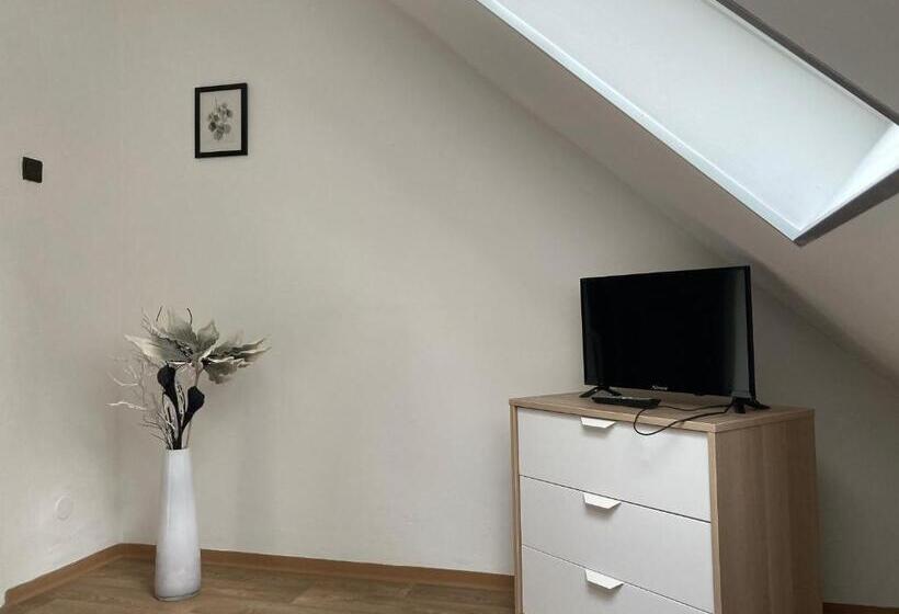 غرفة قياسية, Penzion Zelený Háj