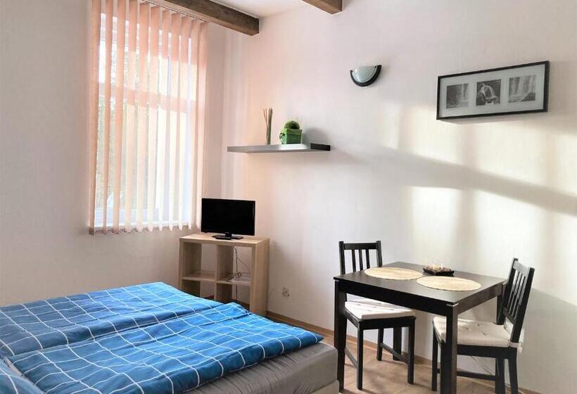 غرفة قياسية, Penzion Zelený Háj