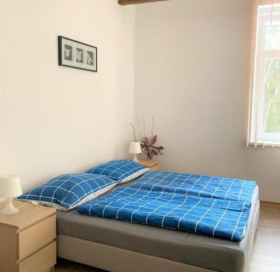 غرفة قياسية, Penzion Zelený Háj