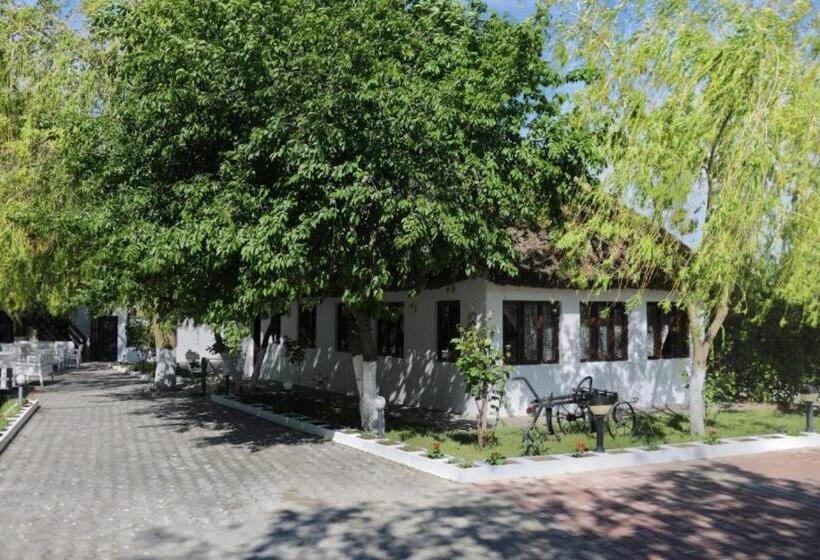 Family Suite, La Salcia Linistita   Murighiol