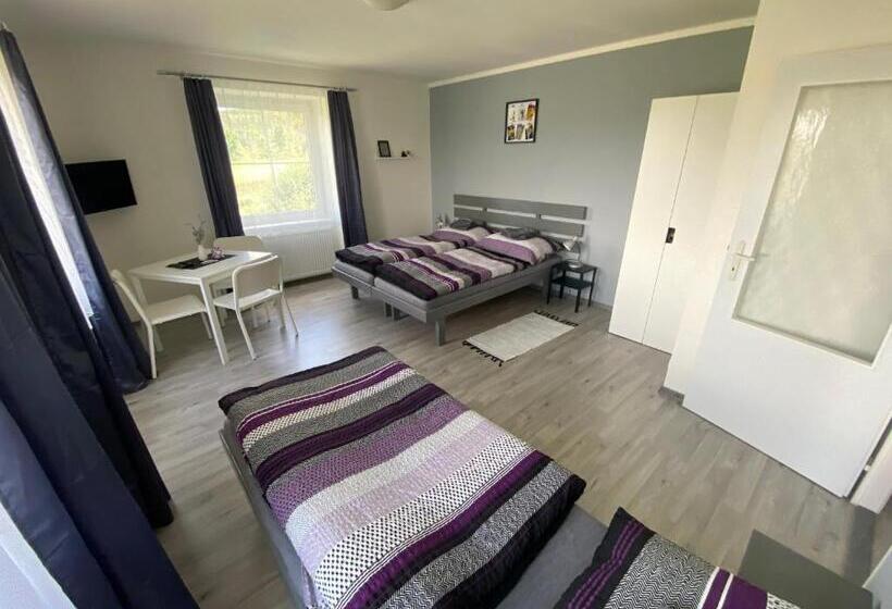 标准三人间, Penzion Kamejk